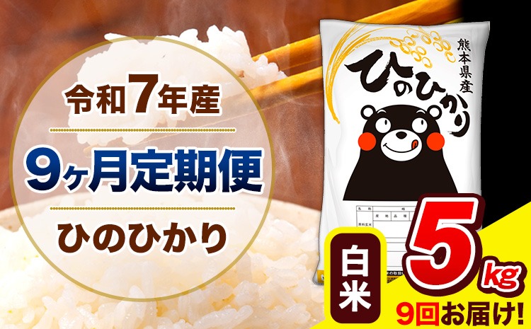 新米 令和7年産 ひのひかり 【9ヶ月定期便】 白米 5kg (5kg×1袋) 計9回お届け 《お申込み翌月から出荷》 熊本県産 精米 ひの 米 こめ お米 熊本県 長洲町---hn7tei_112500_5kg_mo9_ng_h---