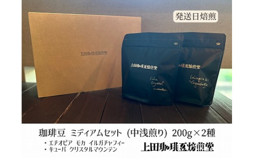 
            【上田珈琲豆焙煎堂】珈琲豆 中浅煎り 2種×200g エチオピアG1イルガチャフィー・キューバクリスタルマウンテン【豆】[52210723] 
          