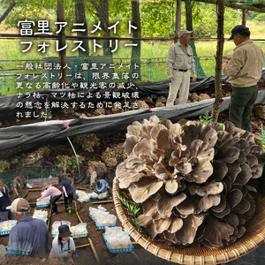 【令和8年産先行予約】 増富天空の舞茸　原木まいたけ　約1kg [h192]