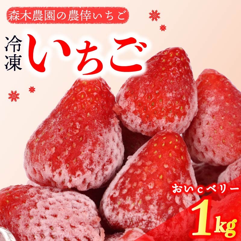 冷凍 いちご 苺 1kg以上 完熟 おいCベリー ヘタ取り いちご 静岡 限定 苺 冷凍いちご 果物 スイーツ いちご 牧之原市 デザート フルーツ スイーツ アイス ジャム シャーベット ベリー 氷菓 冷凍 甘い オススメ ギフト 人気 牧之原市 森木農園
