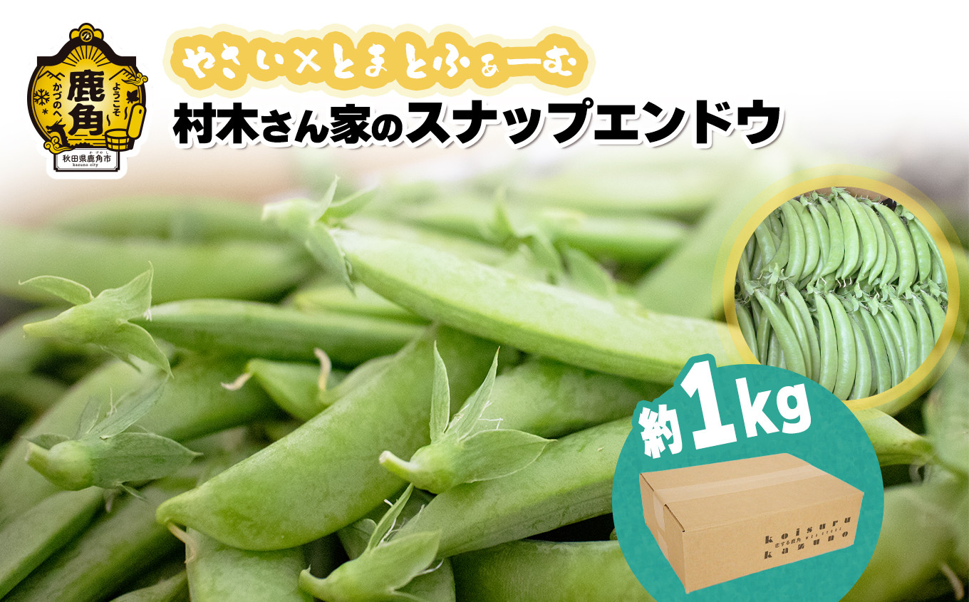 
            村木さん家のスナップエンドウ 1kg【やさい×とまとふぁーむ】●2025年5月下旬発送開始 スナップえんどう えんどう 豆 新鮮 旬 県産 国産 お中元 お歳暮 母の日 父の日 グルメ ギフト 故郷 秋田 あきた 鹿角市 鹿角 送料無料
          
