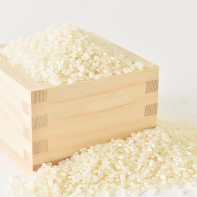 ふるさと納税 取手市 取手市産　コシヒカリ　7kg |  | 01