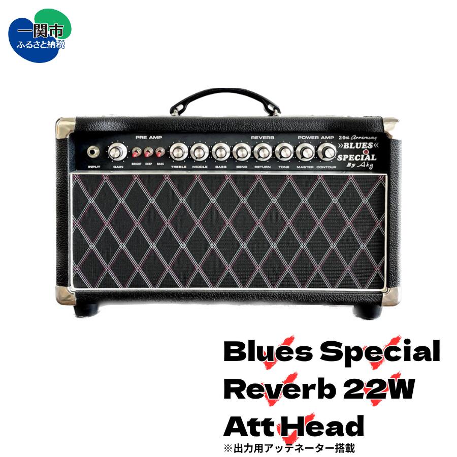【ふるさと納税】 ＜ギターアンプ＞ ギター チューブアンプ Blues Special Reverb 22W Att Head ダンブル クローン 幻の 手作り 高級 アンプ オーダーメイド カスタム ハンドワイヤード