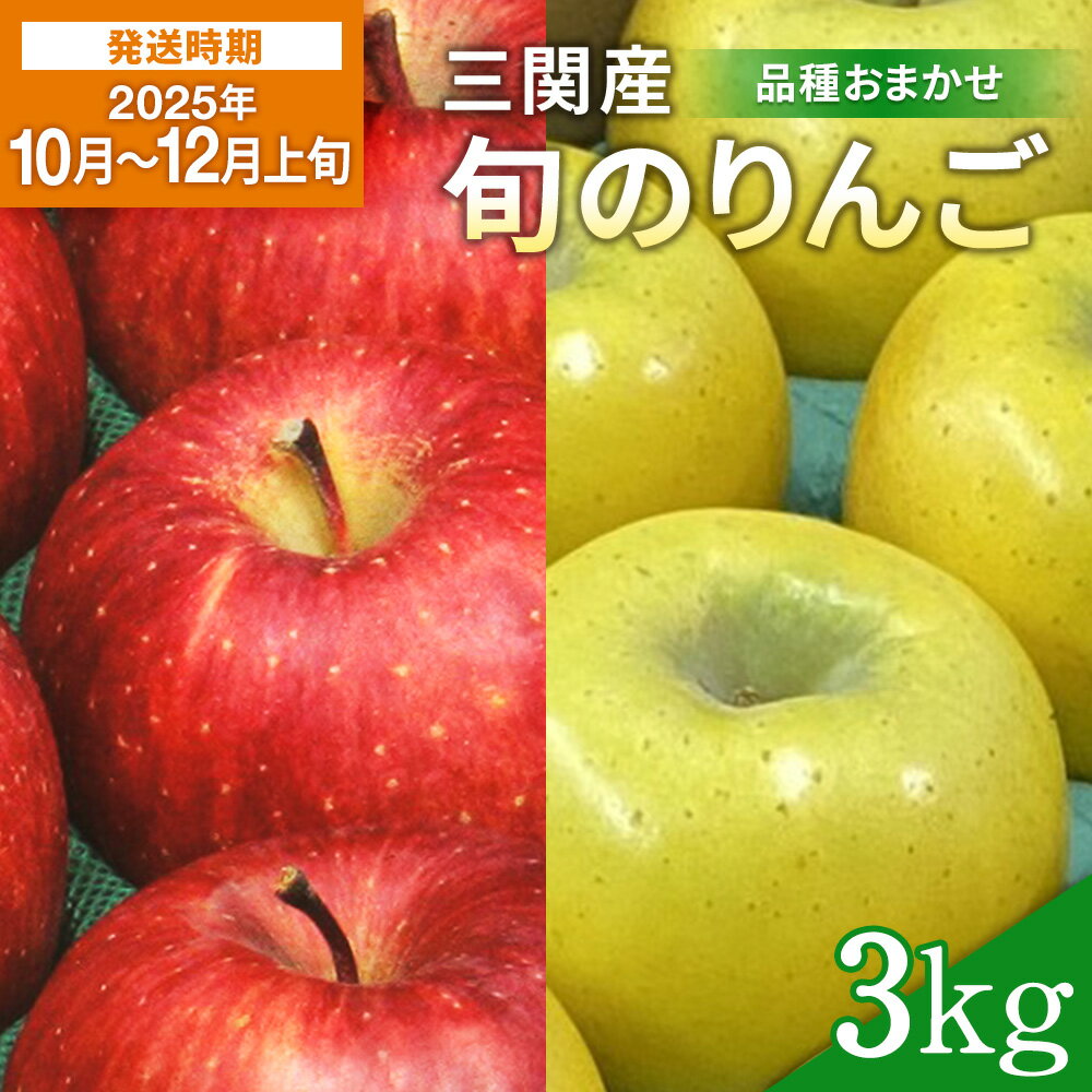 【ふるさと納税】【2025年10月～12月上旬発送】濃厚でジューシー！ 三関産 旬 りんご 3kg 中生種 品種お任せ 早生ふじ シナノスイート 王林 等の中から 美味しい 林檎 をお届け 果物 フルーツ 秋田県 三関 【三関ゆめ蔵ぶ直売所】[L2603]