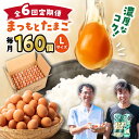 【ふるさと納税】【月1回 Lサイズ 160個×6回 定期便 】 まつもとたまご 160個＜松本養鶏場＞[CCD015] 長崎 西海 卵 生卵 新鮮 卵かけごはん 安全 安心 美味しい こだわり 少数飼い 定期 赤玉