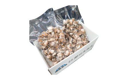 根室海鮮市場＜直送＞【北海道根室産】生食用灯台つぶ(ボイル済)250g×2P(計500g) G-28040