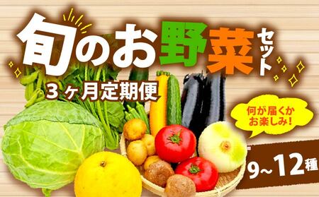 【全3回定期便】 野菜 詰め合わせ おまかせ 野菜詰合せ （9～12種） ｜ 野菜野菜野菜