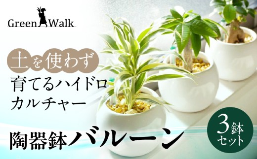 観葉植物 3鉢セット ハイドロカルチャー バルーン 陶器鉢 ゼオライト植え 土無し インテリア 緑 グリーン 簡単 初心者 かわいい 自然 観葉植物 3鉢セット 観葉植物 3鉢セット 観葉植物 3鉢セット 観葉植物 3鉢セット 観葉植物 3鉢セット 観葉植物 3鉢セット 観葉植物 3鉢セット 観葉植物 3鉢セット 観葉植物 陶器鉢 観葉植物 陶器鉢 観葉植物 豊橋 観葉植物 豊橋 観葉植物 陶器鉢