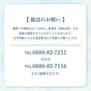天然ブリ１本（５kg～）下処理なし まるごと直送便【令和6年3月以降発送※着日指定不可※】先行予約 鮮魚 刺身 ぶりしゃぶ ぶり大根 塩焼き【R00872】