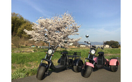 EV3輪バイク「トライク」三塔めぐりツアー 体験チケット