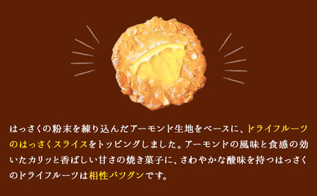 ほろにがスイーツ・はっさく焼き菓子 はっさくプーロ アミティ有限会社 観光特産センターこかわ