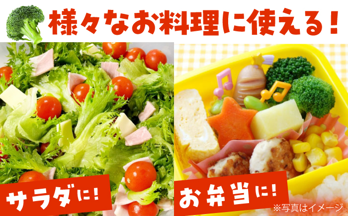 たっぷり 冷凍 ブロッコリー 4kg（1kg × 4袋） / 南島原市 / 池田海陸物産 [SEW008]