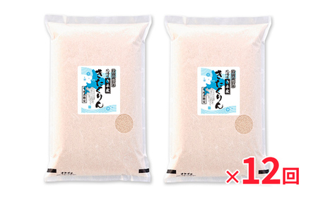 きたくりん 精米 特別栽培米 きたくりん【10kg(5kg×2袋)】【定期便12回】