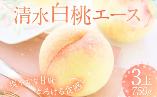 清水白桃 エース 3玉 約750g 【2026年7月上旬～7月下旬発送予定】 ／ 白桃 桃 もも モモ