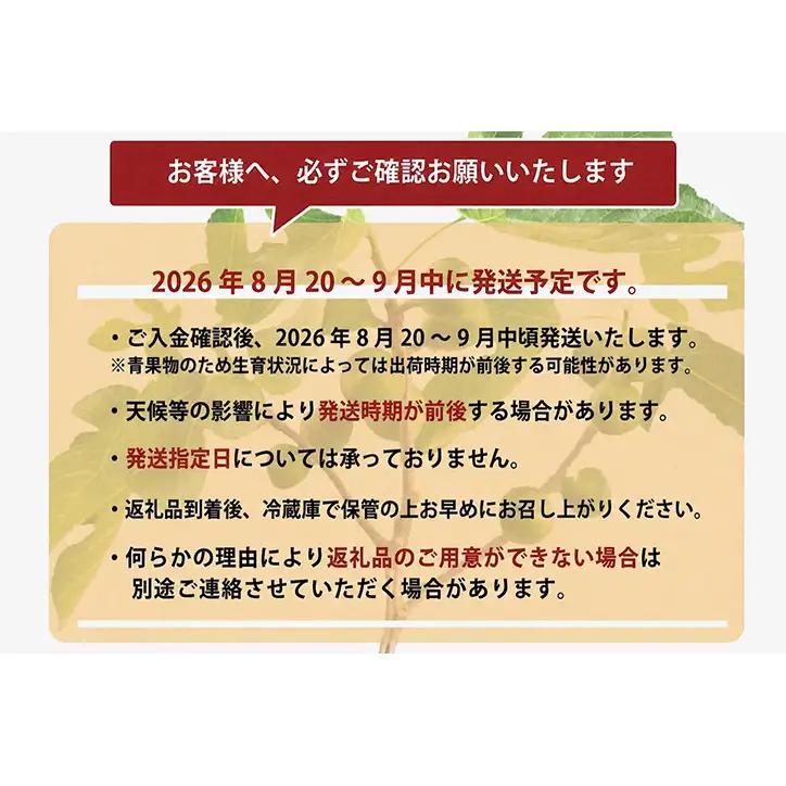 ＜2026年8月以降発送＞とよみつひめ ４パック約1200gセット とよみつひめ