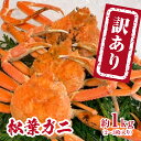 【ふるさと納税】【チルドでお届け】【ボイル】境港水揚げ 訳あり松葉ガニ 1kg(2～3 枚入り) 魚々魚厳選 松葉がに 松葉蟹 鳥取県日野町 冷蔵