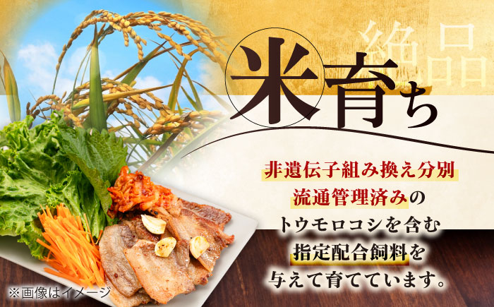 豚肉 豚バラ バラ カルビ 焼肉 スライス 冷凍配送 定期便 北海道 平田牧場