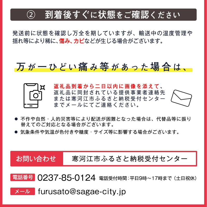 《先行予約》令和8年産 山形セレクション認定品 洋梨「追熟 ラ・フランス 」秀品 3kg（8 - 11玉） サイズおまかせ 山形県産 【2026年10月末頃から2027年1月頃発送予定】　2026年産