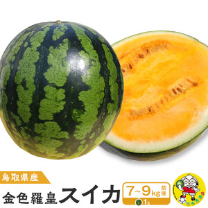 【先行予約】鳥取県北栄町産 金色羅皇スイカ 1玉 7-9キロ前後（こちらの返礼品は、大栄西瓜ではありません） スイカ