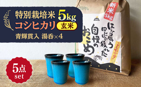 先行予約 【令和6年産新米】 玄米 コシヒカリ 特別栽培米 （5kg）+ 【美濃焼】 青輝貫入 湯呑 （4個） 【山松加藤松治郎商店】[TEU060]