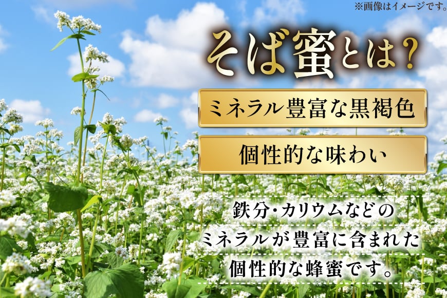 はちみつ 国産 そばハチミツ 500g [東養蜂場 青森県 おいらせ町 oi02ayo660004] ハチミツ 蜂蜜 そば蜂蜜 蕎麦