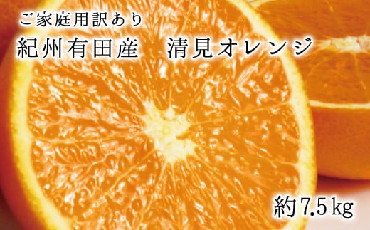 【ご家庭用訳アリ】紀州有田産清見オレンジ　7.5kg ※2025年3月下旬?2025年4月中旬頃に順次発送予定(お届け日指定不可)【uot730】