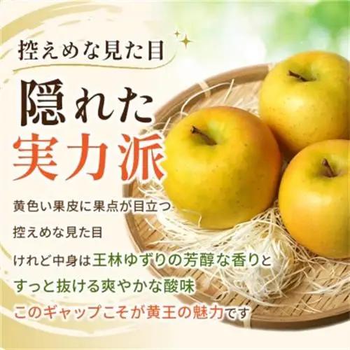 青森りんご 8～9月発送 黄王(きおう) 約5kg 訳あり クール便 平均糖度12度以上!_果物・フルーツ りんご  リンゴ 林檎_【配送不可地域：離島・沖縄県】【1606636】