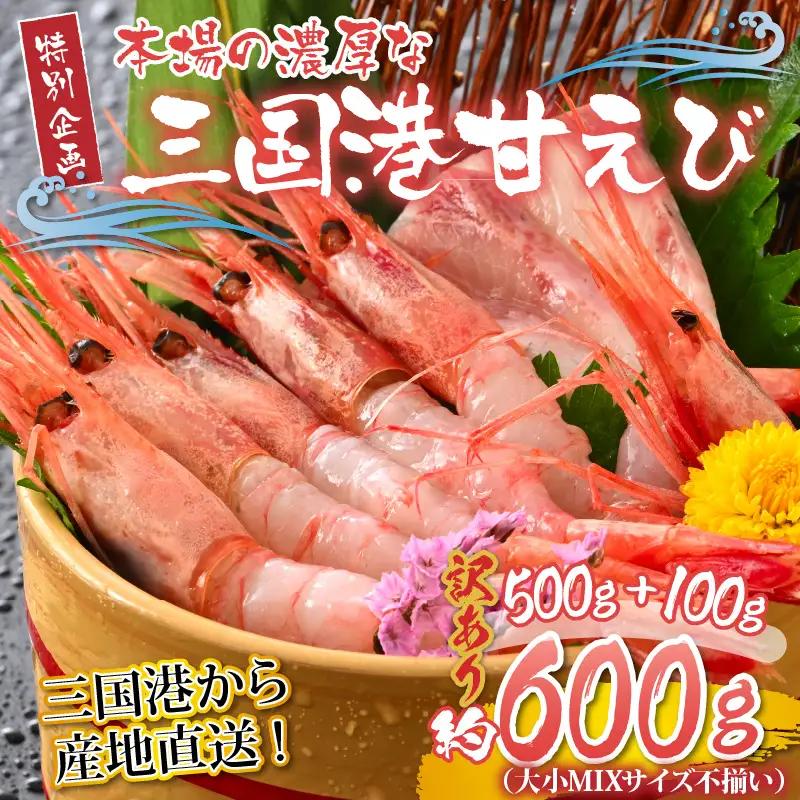 【訳あり】三国港から産地直送！「三国港甘えび」 500g+100g 合計600g～本場の濃厚甘海老～【えび エビ 濃厚 甘い 刺身 生 国産】 [A-6233]