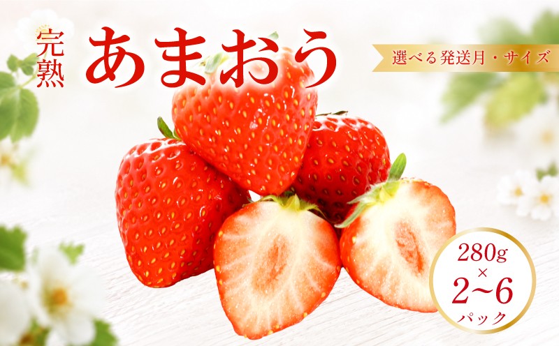 
                  【2027年1月から4月発送】【選べる発送月】 苺 あまおう 560g~1680g (280g×2~6P) いちご あまおう ふるさと納税いちご ふるさと納税あまおう あかい まるい おおきい うまい 福岡県産苺 イチゴ ストロベリー 苺 数量限定 福岡県産 ichigo strawberry 1月上旬より順次出荷 福岡県 柳川市
                