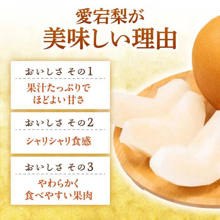 【12月上旬発送開始】愛宕梨 約3kg (3玉-5玉) / 梨 なし ナシ フルーツ[AFAR025]