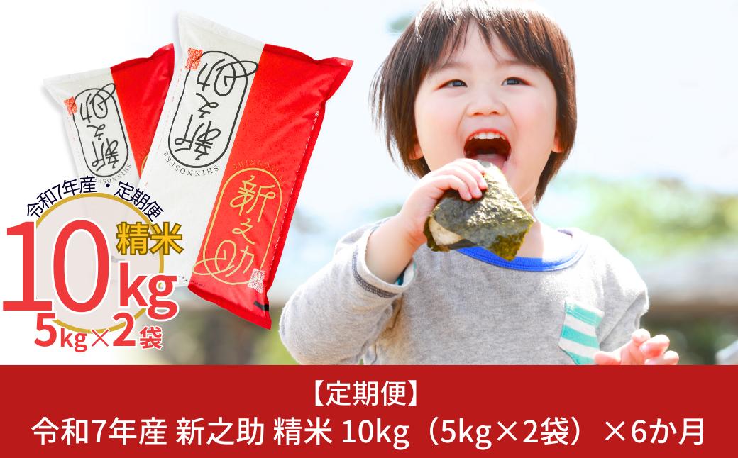 
            [定期便10kg×3か月] 新潟県産 無洗米 新之助 計30kg 3か月連続でお届け 令和7年産 しんのすけ [株式会社白熊]【054S002】
          