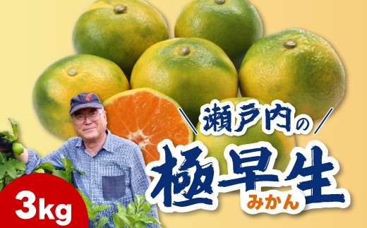 極早生みかん3kg 2026年10月発送予定 柑橘 ミカン 果物 くだもの フルーツ 瀬戸内 251014