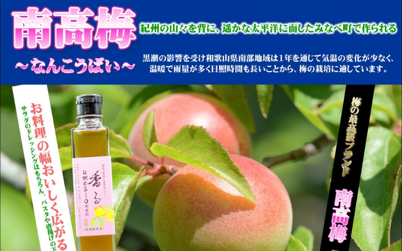 香るumesio調味料　【yplu008A】