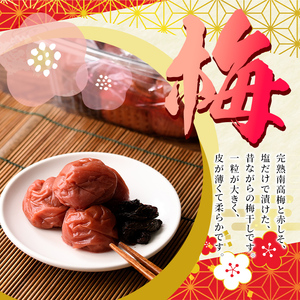 梅干し しそ漬け(1kg) 梅 うめ 梅干し うめぼし 梅干 ウメボシ 紫蘇 シソ ごはんのお供 完熟南高梅 赤しそ おにぎり おむすび お弁当 漬物 お漬物 漬け物 加工食品 加工品 朝食 朝ごはん
