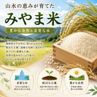 ふるさと納税 みやま市 福岡県みやま市産  白米10kg (10kg×1袋) 〜銀座の料亭 ご愛用のお米〜 |  | 01