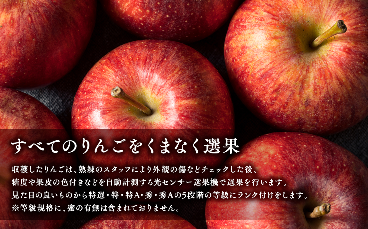 年明け  糖度選別サンふじ 約2kg 【JA津軽みらい・平川市産・青森りんご・1月・2月】