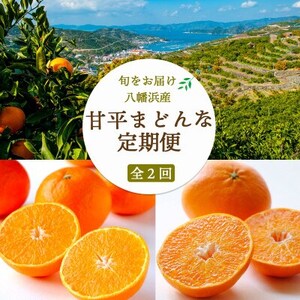【発送月固定定期便】【愛媛の人気高級品種】まどんな2.5kg×甘平3kg【H25-266】全2回【4071241】
