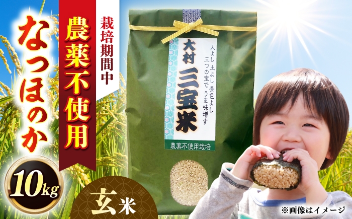 
                  【栽培期間中農薬不使用】R8年度米 玄米 なつほのか 10kg 大村市 たぬき池自然農園/ 米 玄米 10kg [ACCJ002]
                