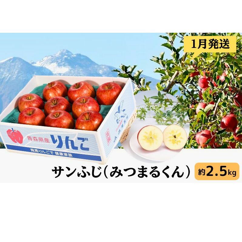 りんご 【 1月発送 】 サンふじ （ みつまるくん ）約 2.5kg 糖度13度以上 【 弘前市産 青森りんご  果物類 林檎 リンゴ  】