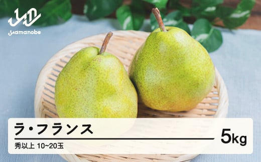 
            《先行予約》2025年 山形県産 西洋梨（ラ･フランス）約5kg･秀以上（10～20玉）2025年11月上旬頃順次発送 果物 くだもの フルーツ 秋果実 ラフランス F20A-073
          