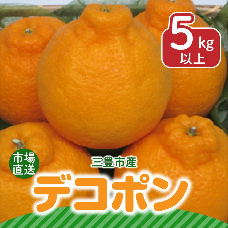 【2025年　先行予約】三豊市産【市場直送 デコポン 5ｋｇ以上】_M64-0017