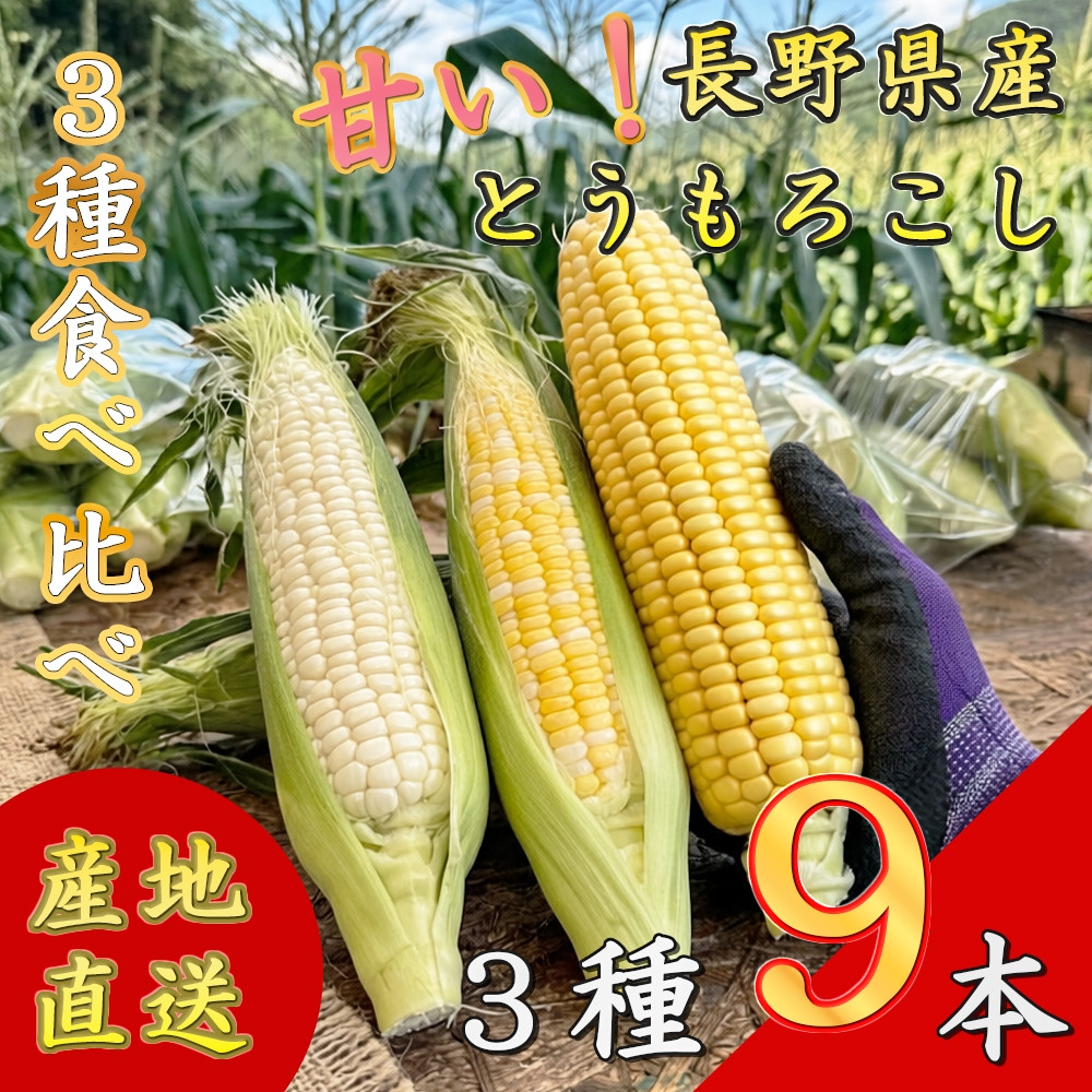 
                  【先行予約】【期間限定】長野県長和町産 黒耀水育ちのあまいとうもろこし 人気３品種食べ比べセット とうもろこし セット 冷蔵便 新鮮スイートコーン 朝採れトウモロコシ
                