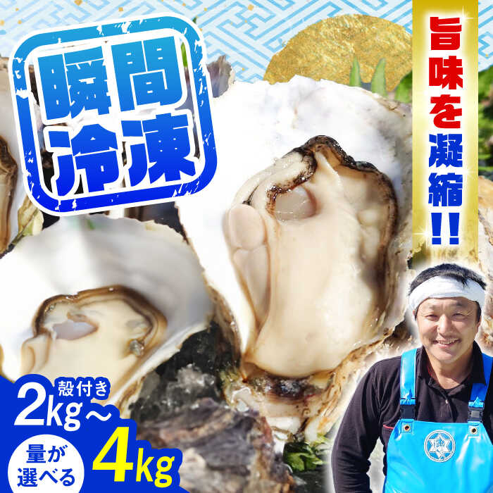 【ふるさと納税】特選 牡蠣三昧！【冷凍】【選べる内容量】牡蠣 殻付き カキ かき 広島 料理 簡単 魚介類 海鮮 冷凍 カキフライ ギフト 広島県産 人気 送料無料 江田島市/株式会社門林水産[XAO029]