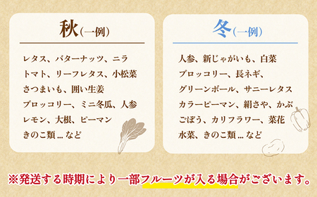 【12回定期便】毎月連続お届け 新鮮 「旬の野菜・フルーツ」 詰め合わせ セット（10品～12品）/ 野菜 定期便 やさい 定期便 野菜セット やさいセット 春野菜 夏野菜 秋野菜 冬野菜 旬新鮮 /