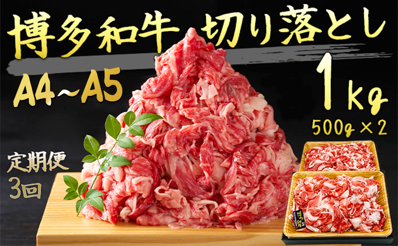 定期便 3ヶ月 牛肉 A4～A5 博多和牛 切り落とし 1000g (500g×2p) 黒毛和牛 肩ロース 赤身 バラ カルビ 小分け 大好評につき継続！3回 配送不可：離島