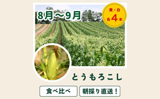 【令和9年産 先行予約】野菜 定期便 5回便 美瑛の四季～唐松（小）～ 美瑛米 アスパラ とうもろこし じゃがいも 玉ねぎ