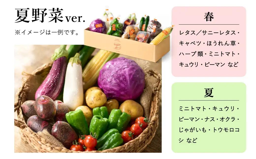 ベジプラ特選 旬の野菜セット 定期便：12回 毎月お届け Veggie de＋