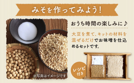 【手作りキット】 【3回定期便】無農薬玄米麹で仕込む『玄米味噌』＜川添酢造＞ [CDN068]