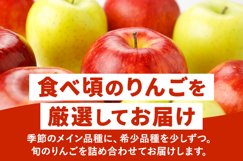 【26年9月下旬～発送】りんご ねぷたりんご バラエティーセット【家庭用】約5kg【品種おまかせ】 家庭用 青森県 弘前市 果物 フルーツ 林檎 リンゴ くだもの 不揃い 規格外 [産地直送 詰め合わ