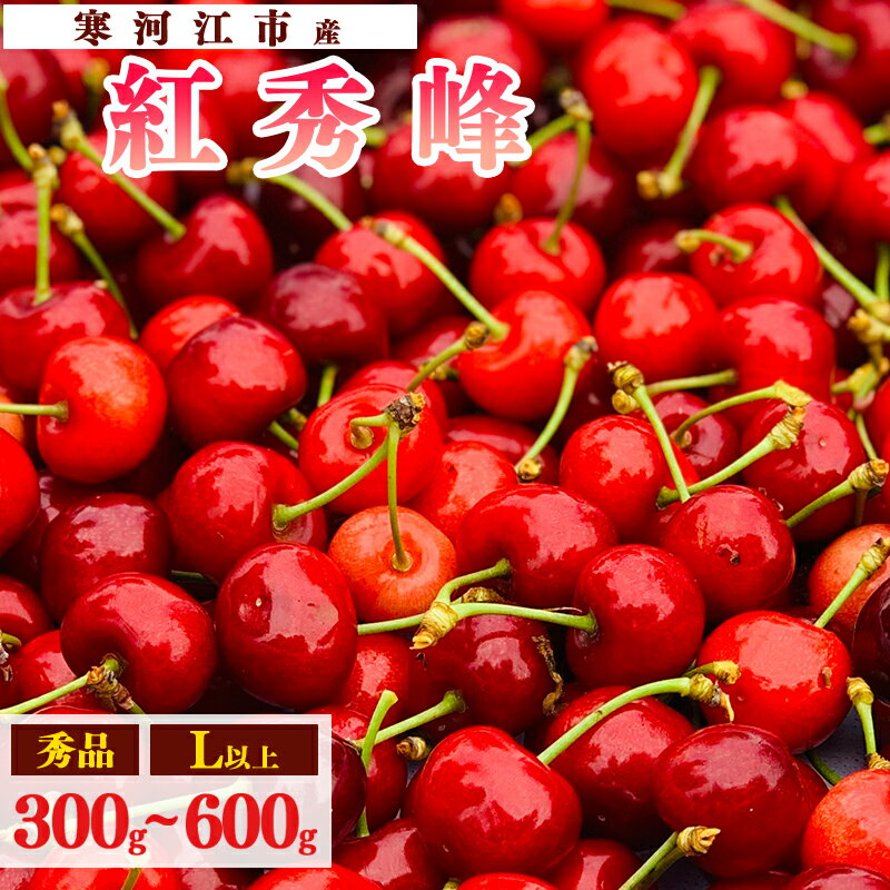 【ふるさと納税】《先行予約》山形県産 さくらんぼ 選べる！「 紅秀峰 」300g ～ 600g 秀品 L以上 【2026年6月中旬頃〜7月上旬頃発送予定】※配送不可 沖縄・離島 お取り寄せ フルーツ 果物 果実 特産 産地 直送 東北 300グラム 600グラム 2026年産 令和8年産 山形県産